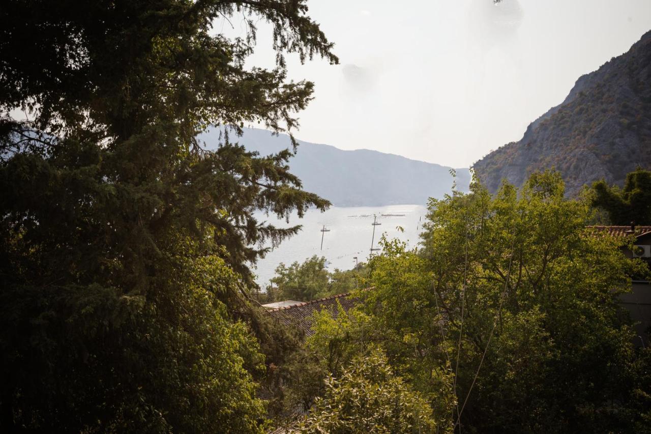 Apartmani Peko Kotor Exteriör bild